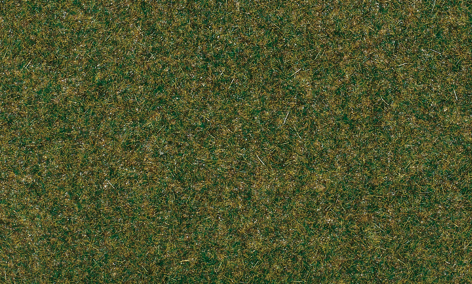 auh75594.jpg