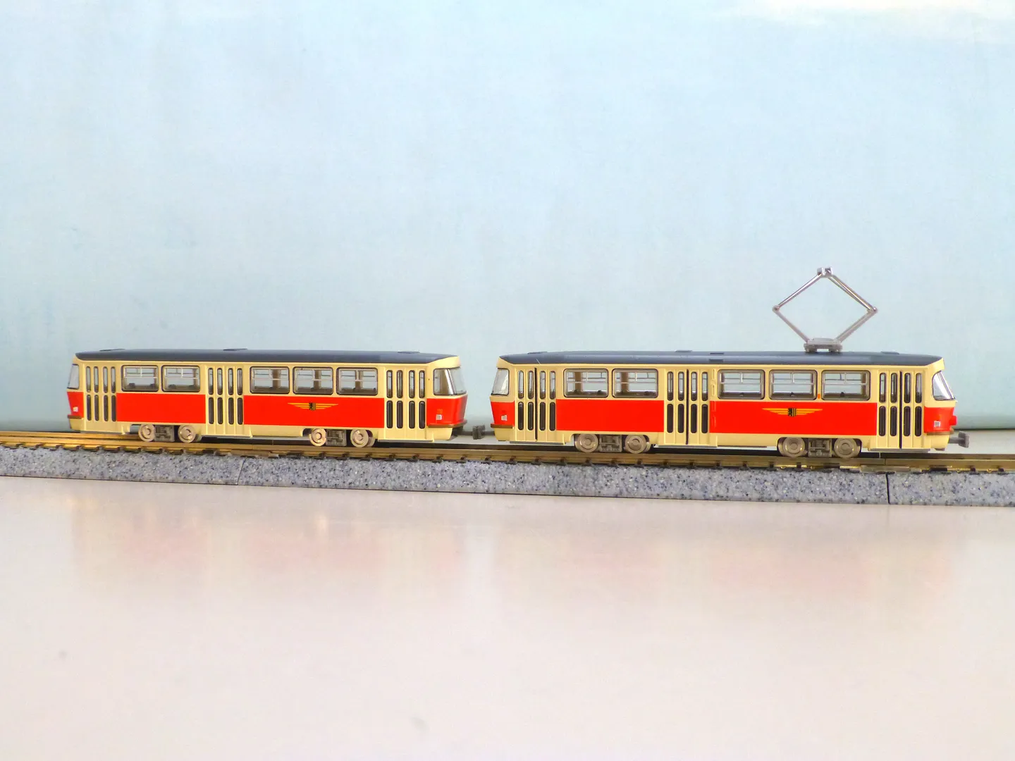 tom977814.jpg