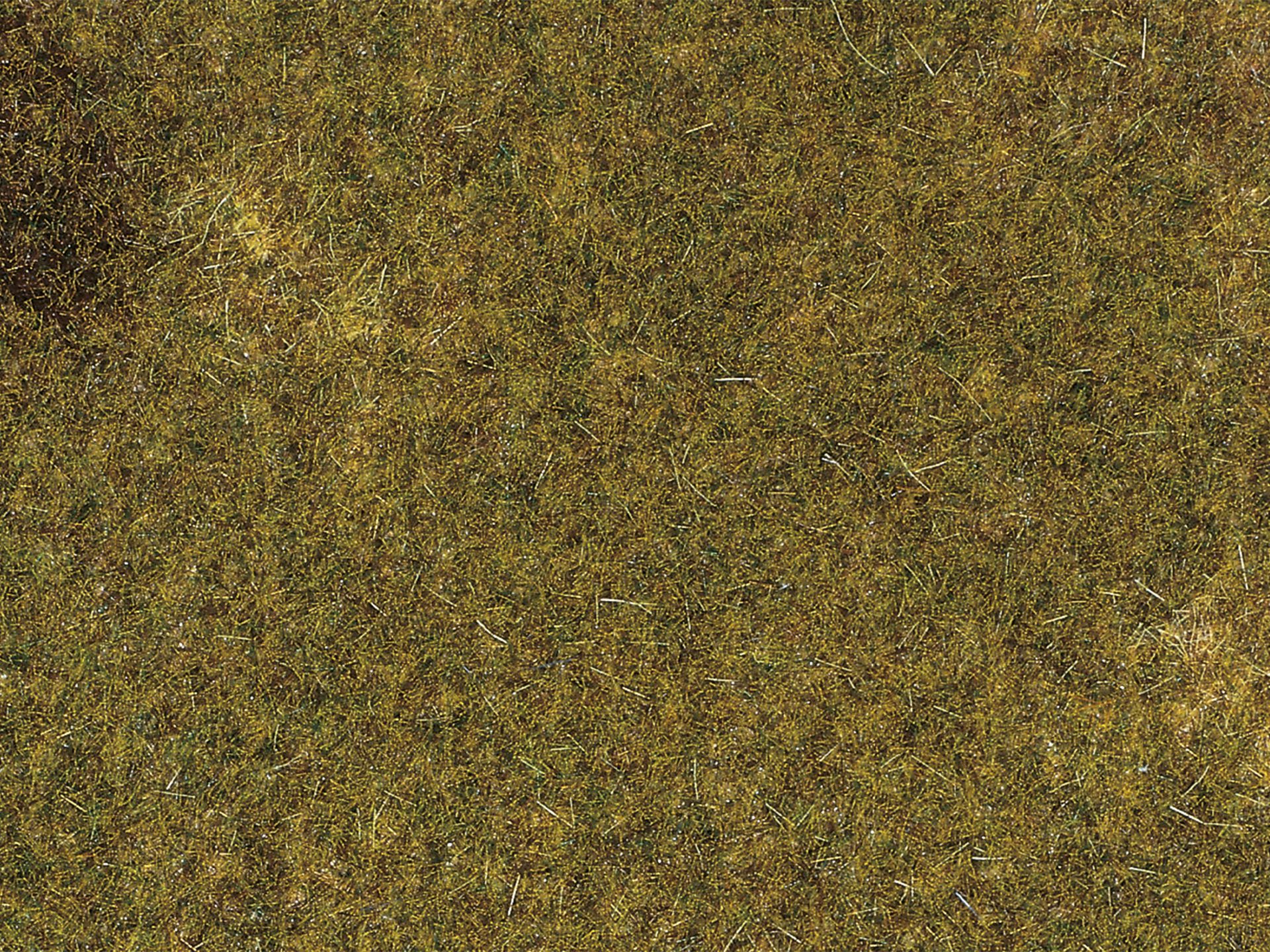 auh75117.jpg